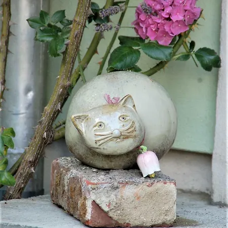 斯托胡特曼努法科图尔公寓 德累斯顿