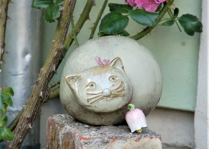 Strohhutmanufaktur دريسدن